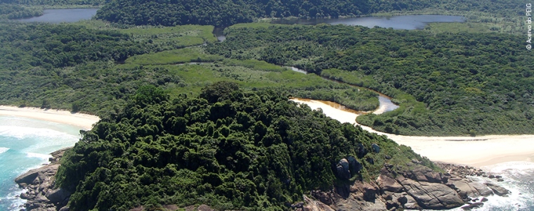 Área de preservação permanente do Parque Estadual da Ilha Grande